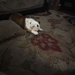 Meet your Posher, Janet